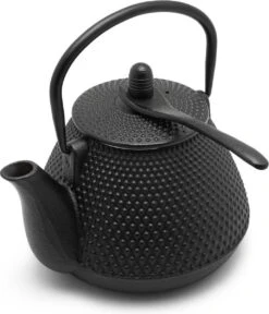 Bredemeijer - Theepot Wuhan 1,0L Gietijzer Zwart -Tafelwaren Verkoop 1030x1200 2