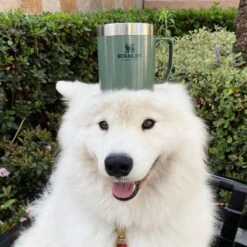 Stanley The Legendary Camp Mug 0,35L - Beker - Hammertone Green -Tafelwaren Verkoop 1200x1199