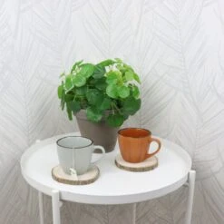 OTIX Koffiekopjes - Met Oor - Set Van 4 - Verschillende Kleuren - Aardewerk - 250 Ml -Tafelwaren Verkoop 1200x1200 174