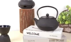 Bredemeijer - Theepot Jang 0,8L Gietijzer Zwart -Tafelwaren Verkoop 1200x719 1