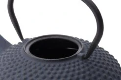 Bredemeijer - Theepot Xilin 1,25L Gietijzer Blauw -Tafelwaren Verkoop 1200x800 85