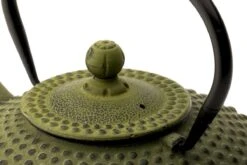 Bredemeijer - Theepot Xilin 1,25L Gietijzer Groen -Tafelwaren Verkoop 1200x800 91