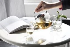 Viva Scandinavia Bjorn Theepot - Glas - Met Filter - 1,2 L - Transparant -Tafelwaren Verkoop 1200x807 2