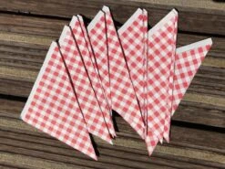 Papieren Frietzak - 30 Stuks - Kleine Patat Maat K14 - Boerenbont - Rode Ruitjes - Puntzak - Patatzak - Traktaties -Tafelwaren Verkoop 1200x900 124