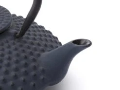 Bredemeijer - Theepot Xilin 1,25L Gietijzer Blauw -Tafelwaren Verkoop 1200x900 99